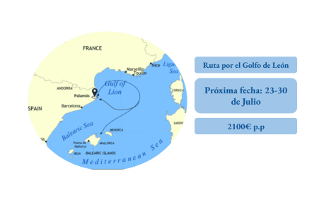 dibujo cetaceos mapa